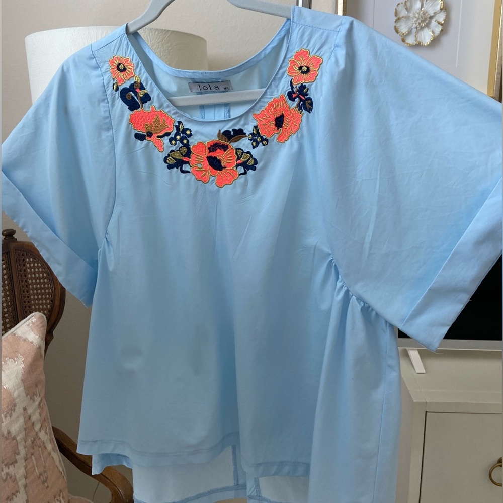 Floral Embroidered light blue blouse